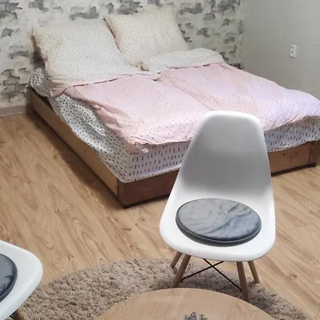 Apartment Radvanka напівособняк з власним двором *